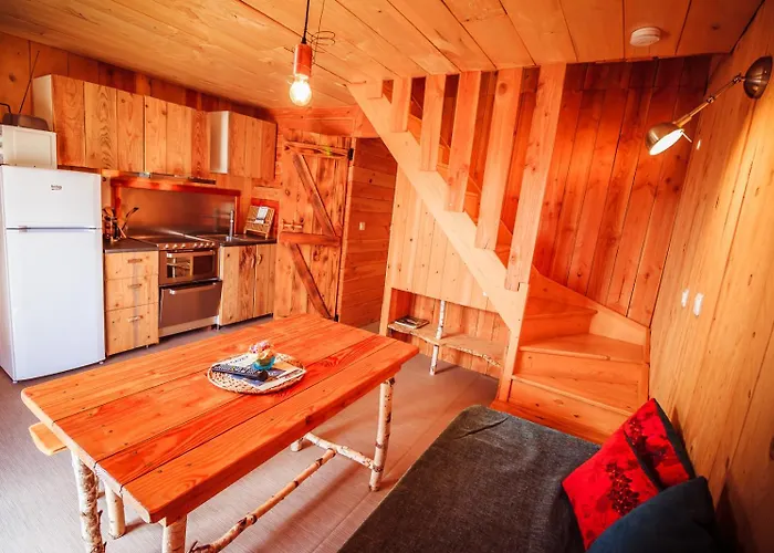 Hotel Les Volca'lodges De Tournebise *